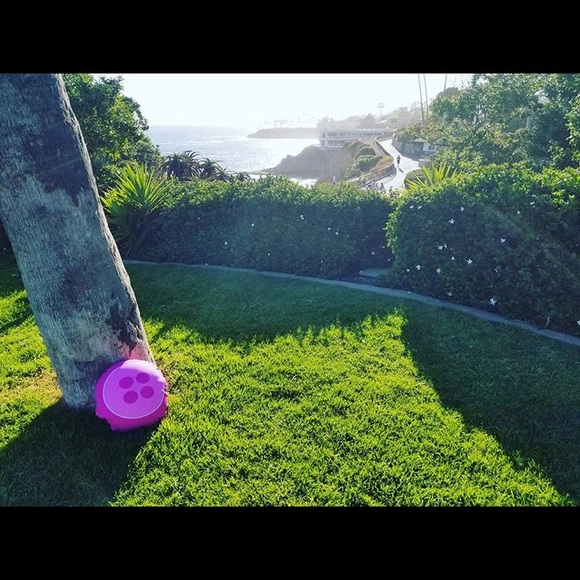 Meet Jeanette! (MsPinkButton) - Picture 4 of 5